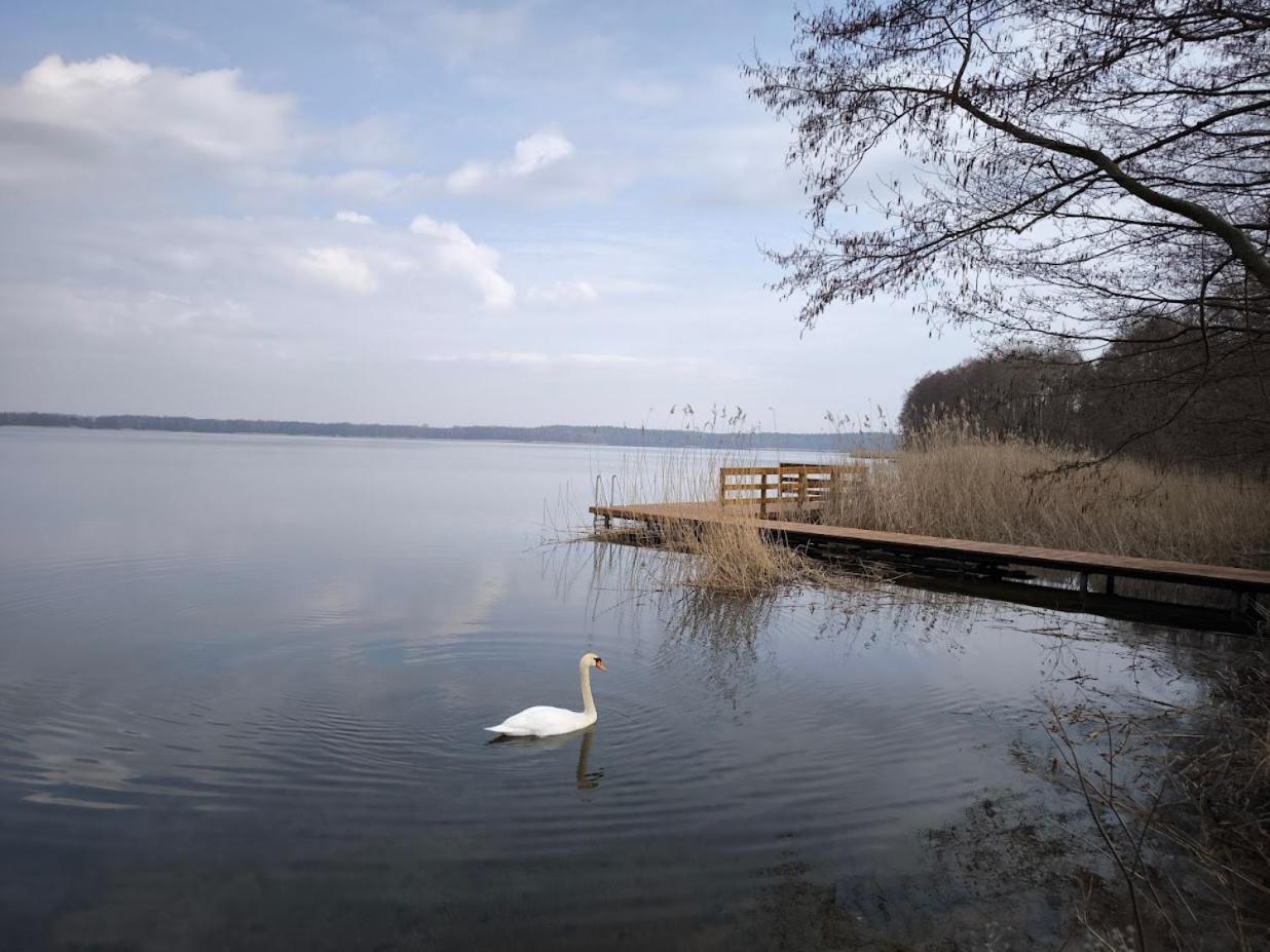 Mazurski Horyzont Leleszki Экстерьер фото